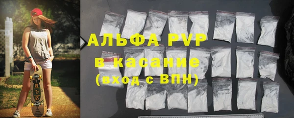 прущий лед Дмитриев