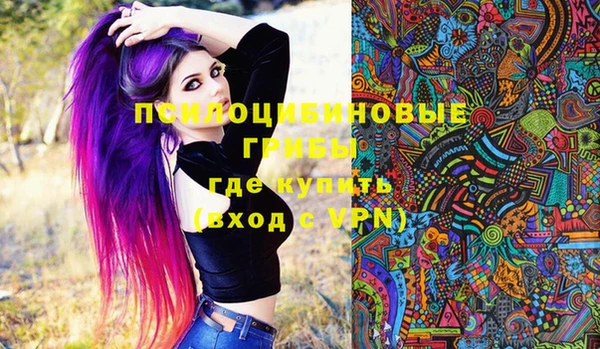 не бодяженный Дмитров