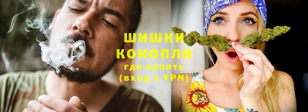 прущий лед Дмитриев