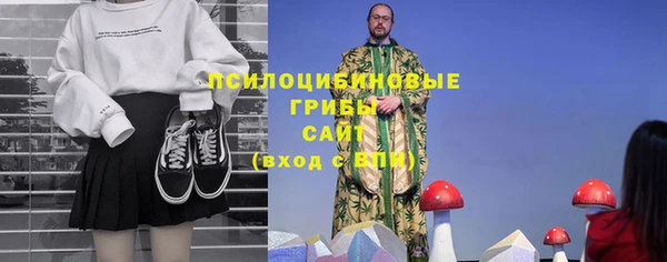 не бодяженный Дмитров