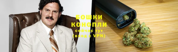 прущий лед Дмитриев