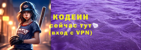 прущий лед Дмитриев