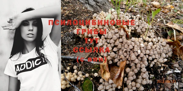 не бодяженный Дмитров