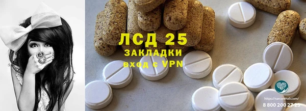 прущий лед Дмитриев