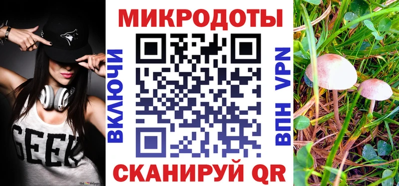 shop Telegram  Переславль-Залесский  Галлюциногенные грибы Psilocybine cubensis 